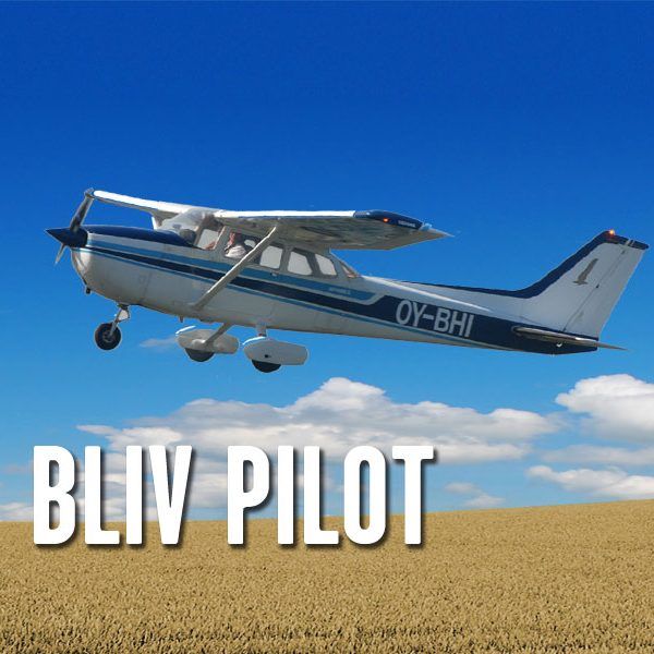 BHI-logo